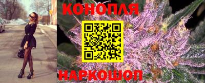 СК Шебекино