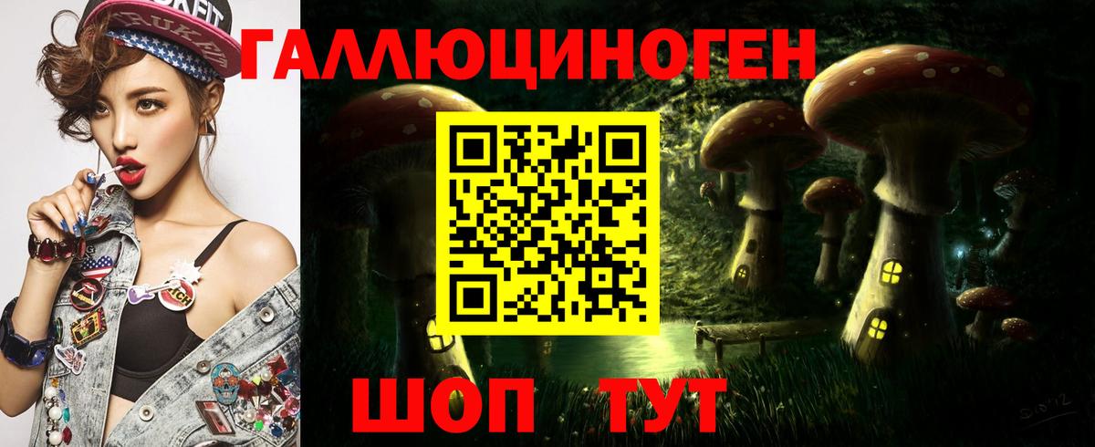 Галлюциногенные грибы MAGIC MUSHROOMS  Псилоцибиновые грибы прущие грибы  Вход с VPN  Братск 